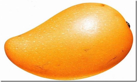 芒果-Mango