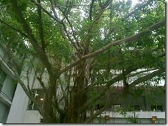 20110619025